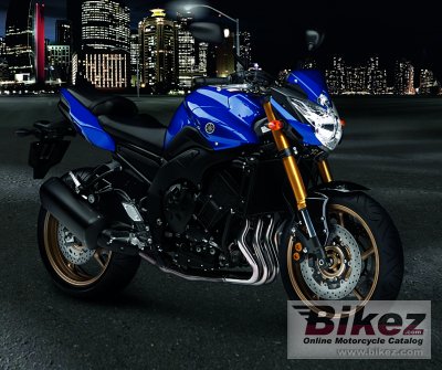 2010 Yamaha FZ8 photo
